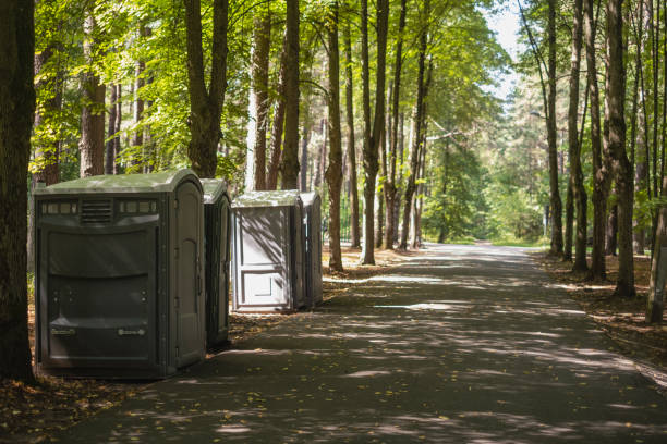 Best Porta potty rental near me  in Hlsboro, IL